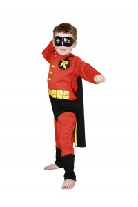 Robin DC Comics Child Costume