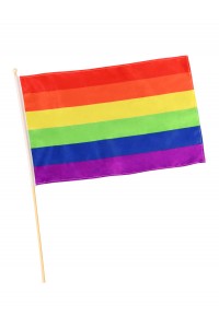 Rainbow Flag for Adult - Accessory
