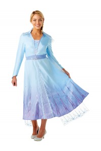 Elsa Disney Deluxe Frozen 2 Adult Costume