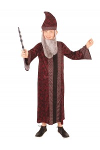Professor Dumbledore Harry Potter Child Robe