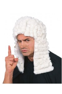 Judge Careers White Adult Wig - Accessory