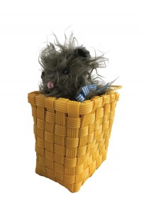 Toto Wizard of Oz In A Basket - Accessory