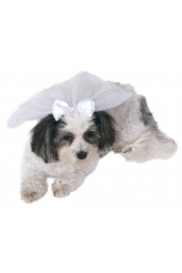 Halloween White Pet Costume Halloween White Pet Costume