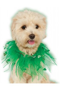Coloured Green  Pet Costume