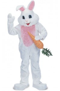 Rabbit Premium Mascot Costume White Animals