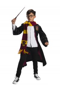 Harry Potter Deluxe Robe With Child Accessories