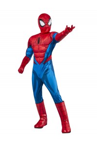 Spider-Man Deluxe Costume