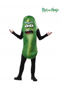 Pickle Rick Adult Costume (Rick & Morty)