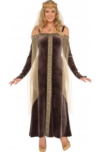 Lady Grey Costume Medieval & Knights