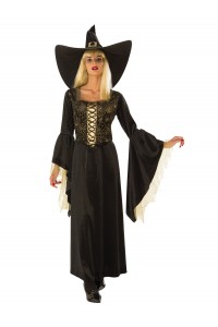Golden Web Witch Adult Costume