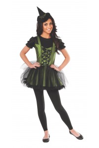Wicked Witch Of The West Wizard of Oz Deluxe Adult