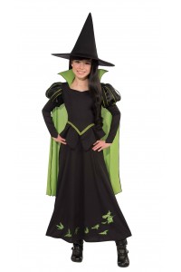Wicked Witch Of The West Wizard of Oz Deluxe Child Costume