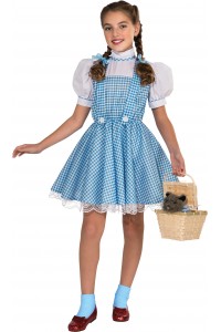 Dorothy Wizard of Oz Deluxe Girl Child Costume