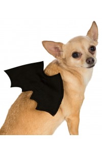Bat Halloween Wings Pet Accessory