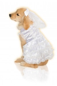Bride Halloween Pet Costume