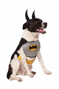 TV and Movie Characters Black, Grey, Yellow Pet Costume TV and Movie Characters Black, Grey, Yellow Pet Costume