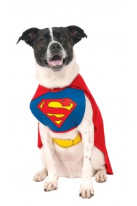 Superman Classic Pet Costume