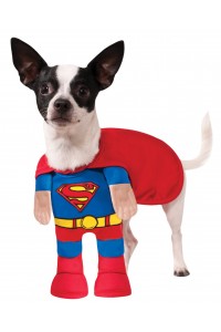 Superman Pet Costume