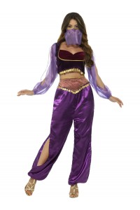 Arabian Princess Costume