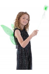 Butterfly Wings & Wand Set for Child