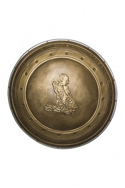 Wonder Woman 24in Shield - Accessory