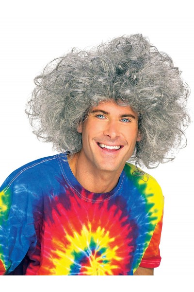 Bad Hair Day Wig for Adult - Einstein