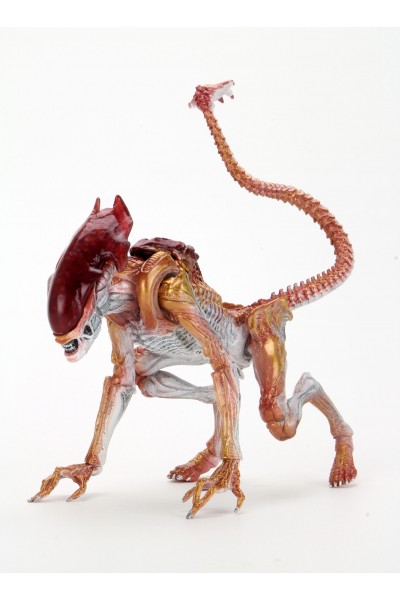 Aliens Panther Alien Kenner Tribute Action Figure