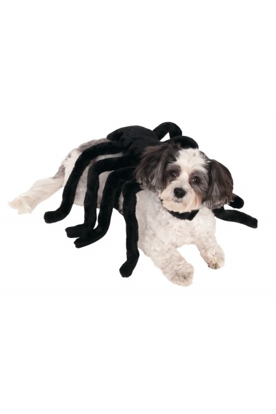 Spider Halloween Harness Pet Costume