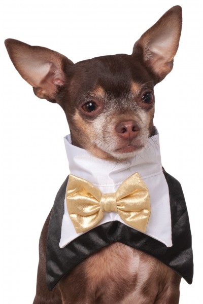 Tuxedo Bandana Pet Costume Halloween