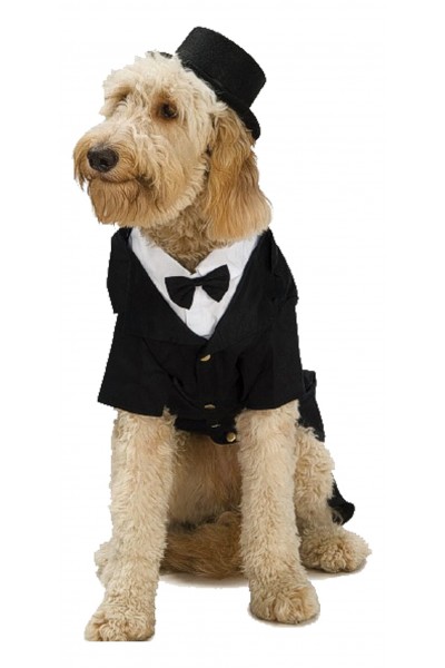 Top Hat Pet Halloween