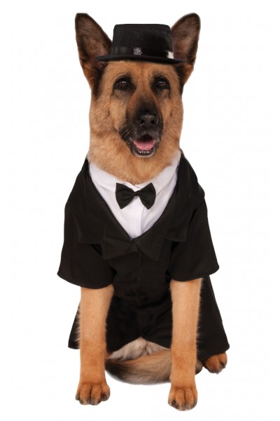 Big Dog Dapper Halloween Pet Costume