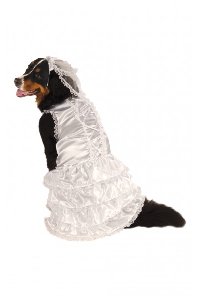 Bright Circus Clown Costume for Children