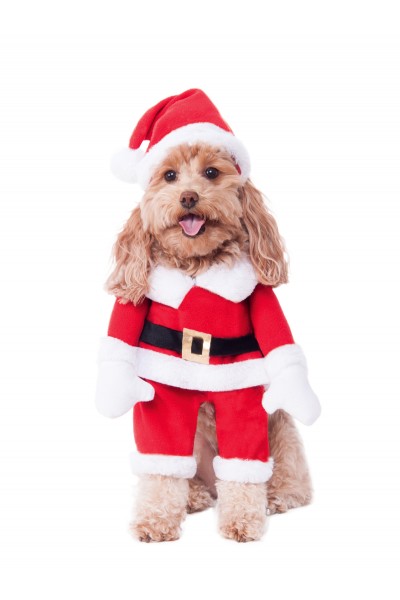 Walking Santa Deluxe Pet Costume