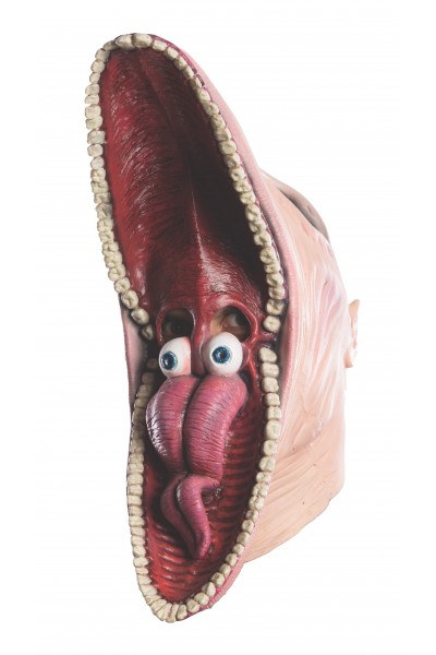 Beetlejuice Barbara Mask for Adult