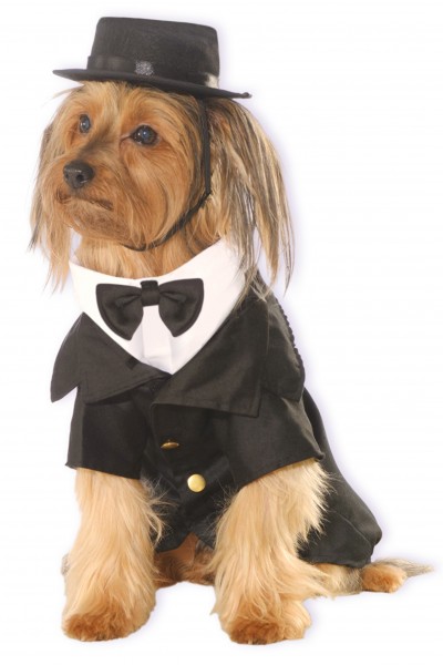 Dapper Dog Costume for Pets