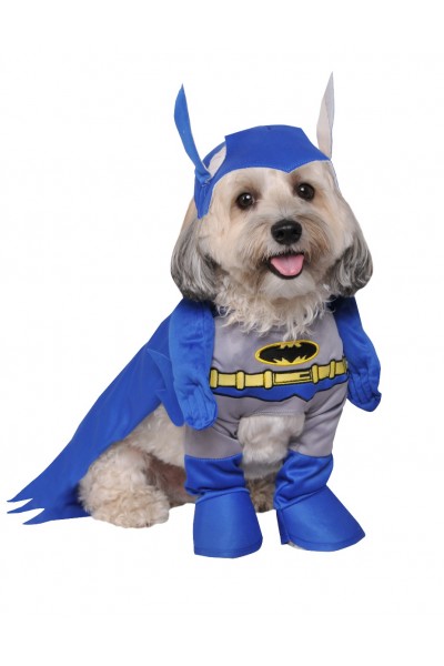 Batman Brave And Bold Pet Costume