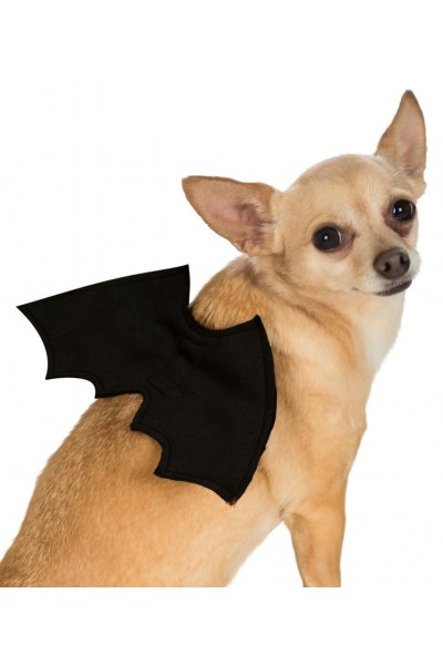 Bat Halloween Wings Pet Accessory