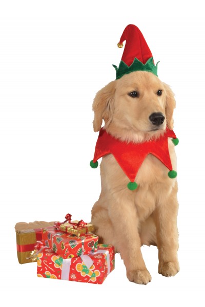 Christmas Pet Elf Hat & Collar Set