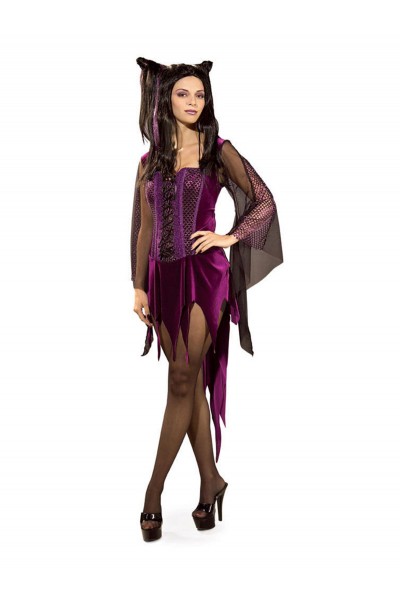 Adult Enchantra Witch Halloween Dress