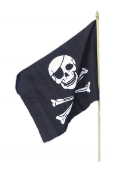 Pirate Flag Accessory