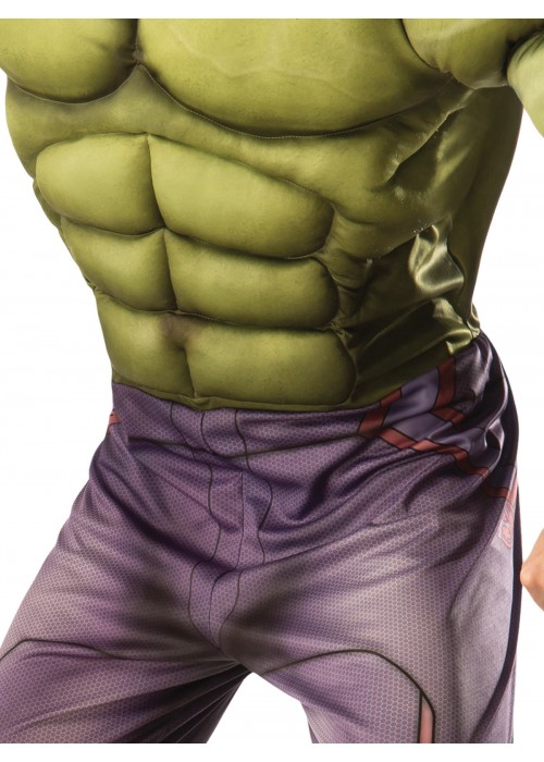 Hulk Classic Adult Costume — free download