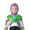 Buzz Lightyear Disney Toy Story Deluxe Child Costume