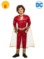 Shazam 2 Deluxe Child Costume