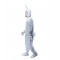 Adult Bugs Bunny Unisex Jumpsuit