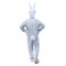 Adult Bugs Bunny Unisex Jumpsuit