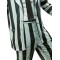 Beetlejuice 2 Adult Costume
