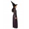 Wicked - Elphaba Premium Child Costume Wizard of Oz