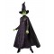 Wicked - Elphaba Adult Costume Wizard of Oz