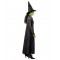 Wicked - Elphaba Adult Costume Wizard of Oz