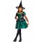 Wicked Witch - Wizard Of Oz Child Costume